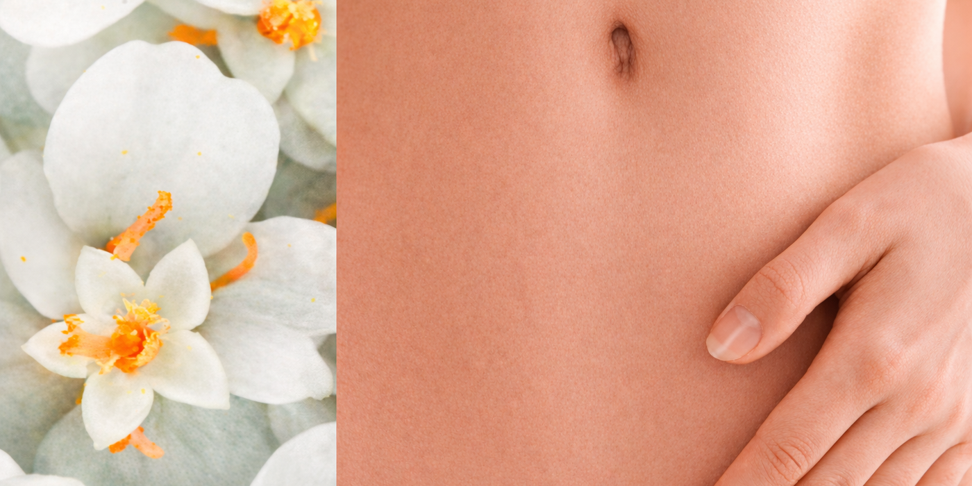 Les bienfaits de l’achillée millefeuille sur les règles et la fertilité chez la femme