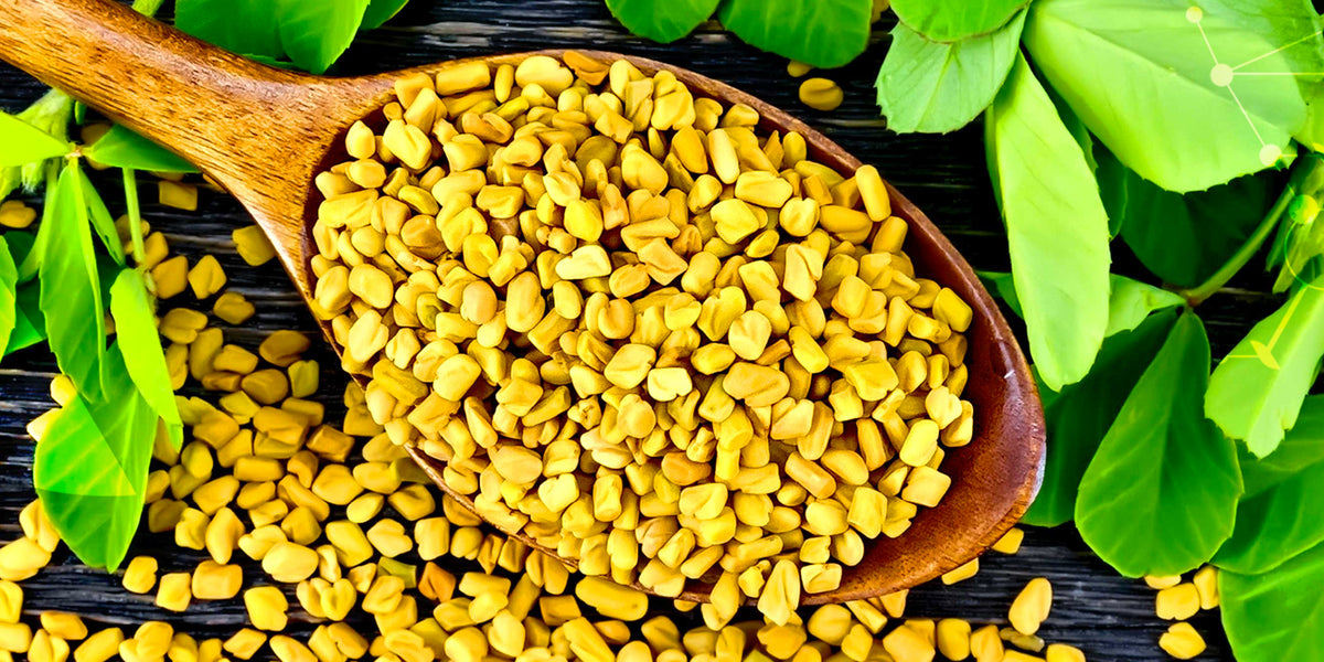 plant scarlet runner beans Scarlet Runner Bean (Phaseolus coccineus) – Annies Heirloom Seeds main image 0