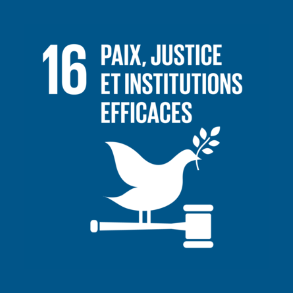 16 - Paix, justice et institutions efficaces