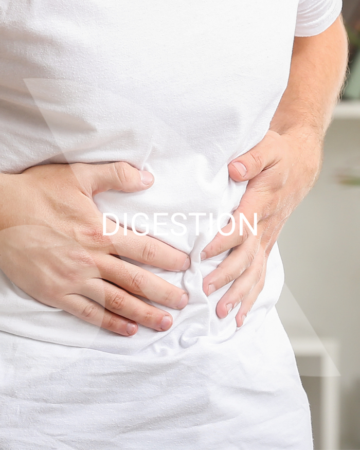 Conseils pour améliorer naturellement la digestion