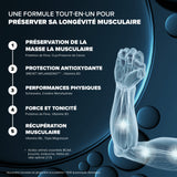 Santé Longévité Capital Musculaire