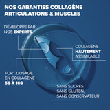 Collagène articulations & muscles