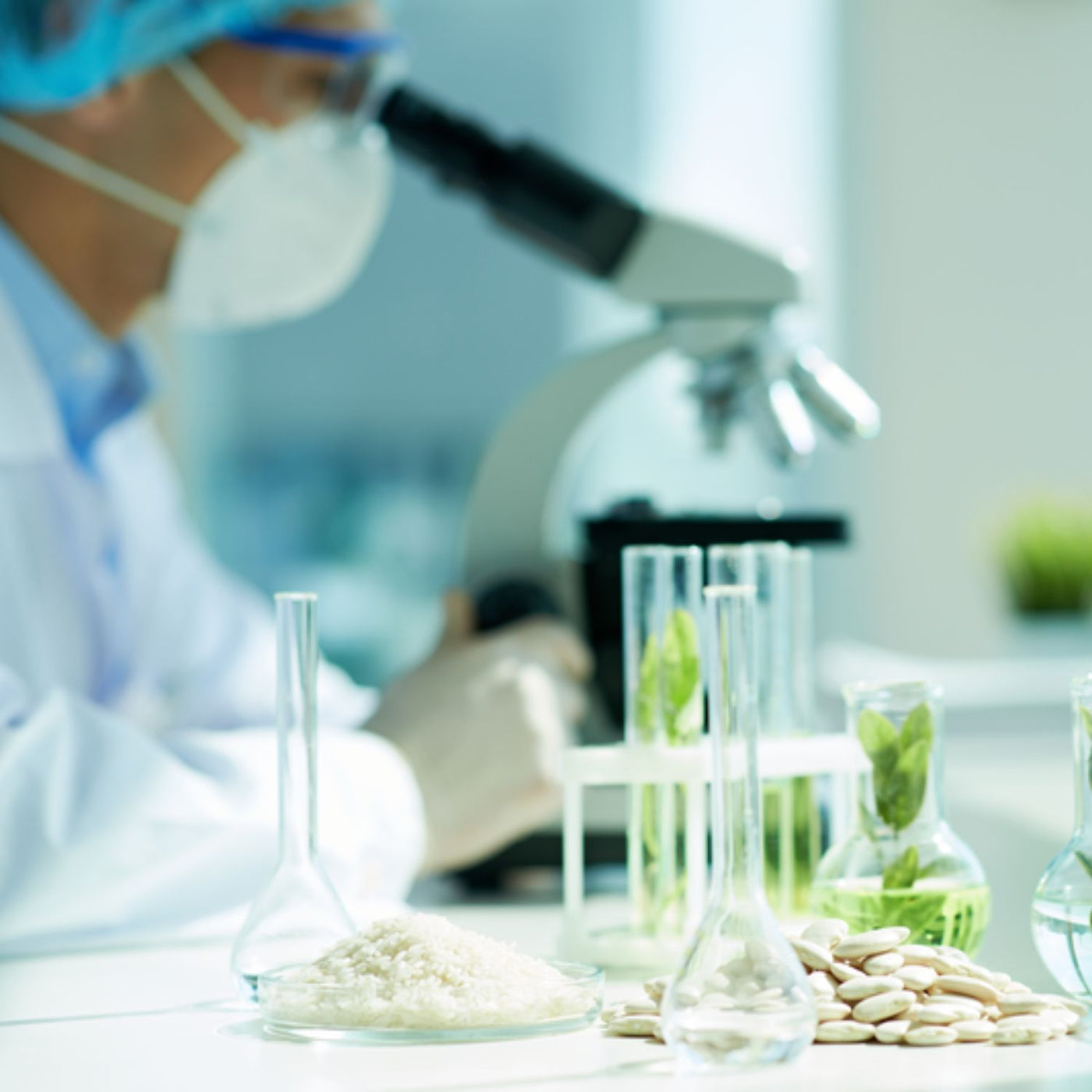 Zoom sur notre mission