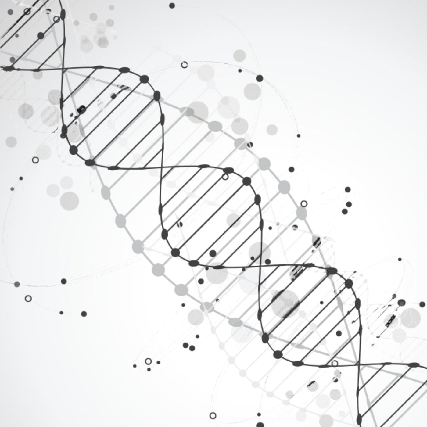 Nos valeurs : naturelles et immuables