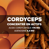 Arkogélules® Cordyceps
