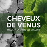 Forcapil® Anti-chute - 1 mois offert