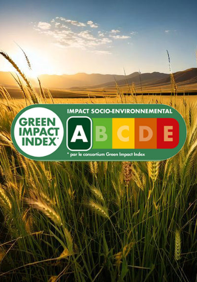 Green Impact Index