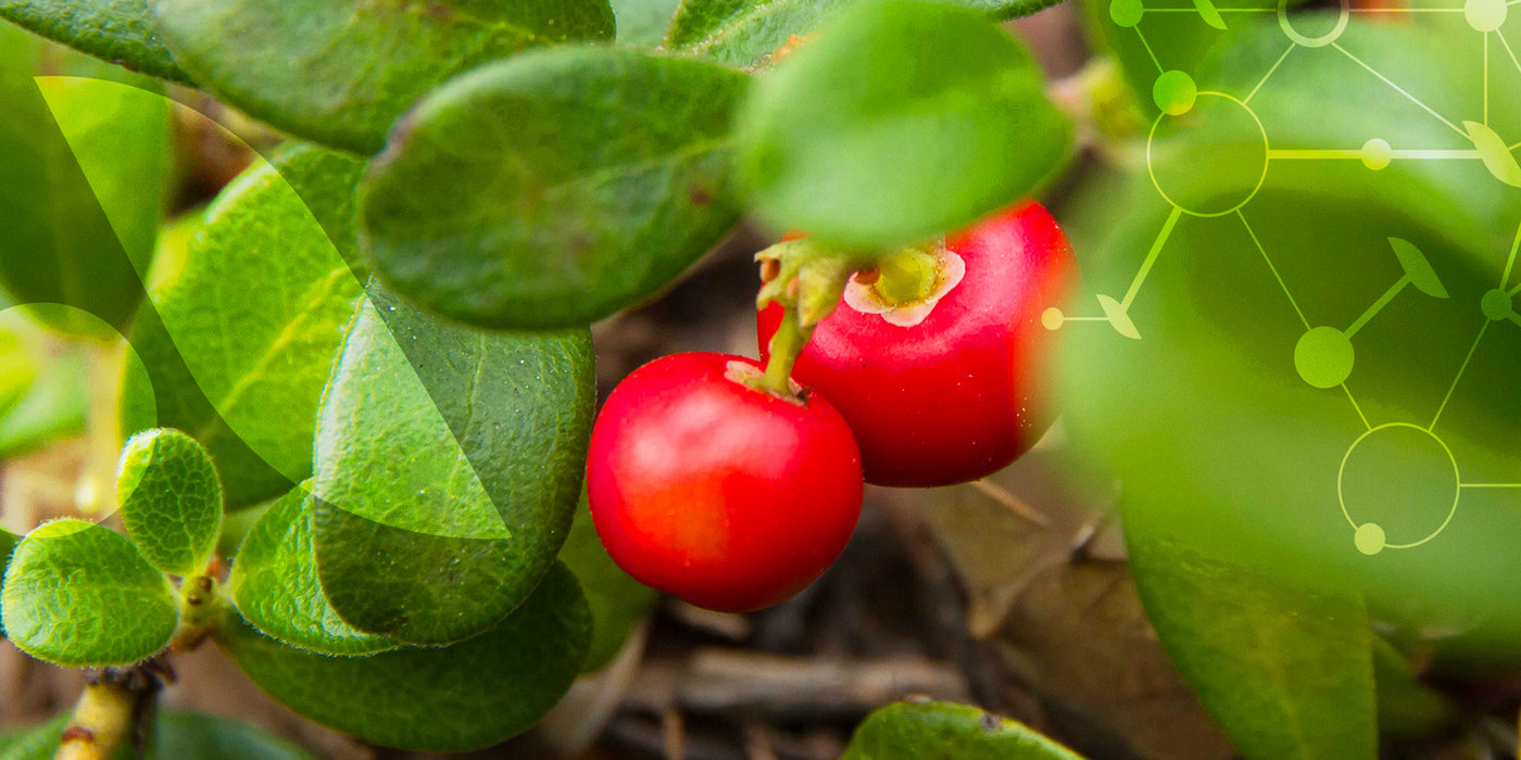 Participe au maintien du confort urinaire.
