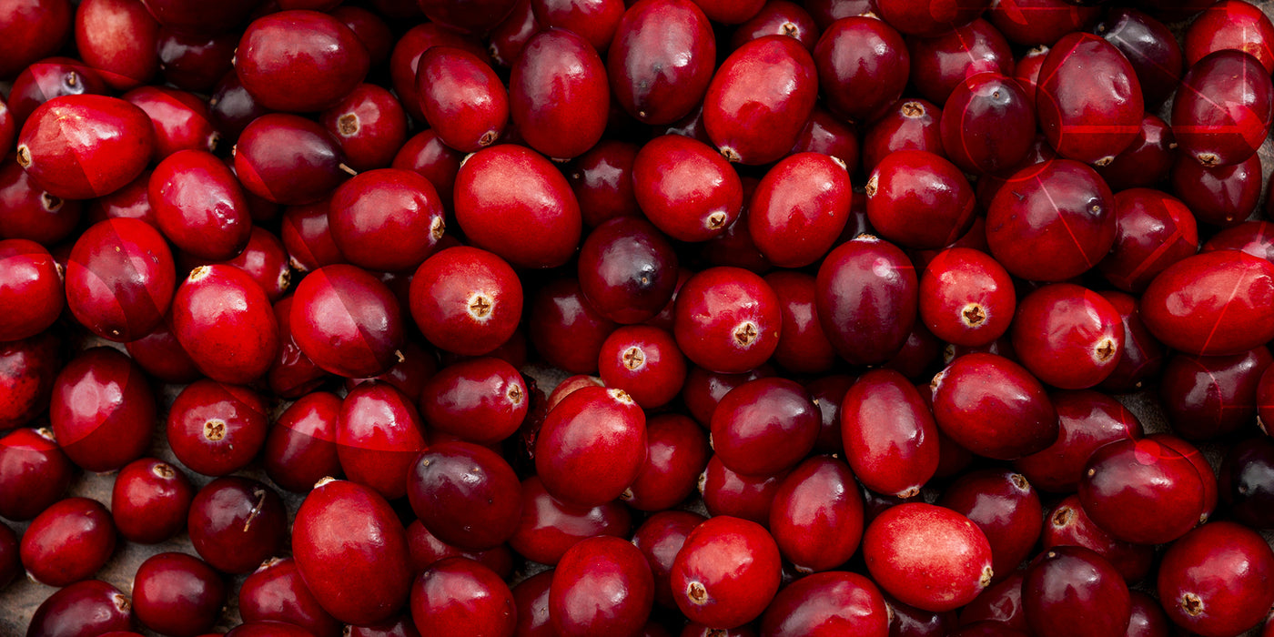 Riche en proanthocyanidines, empêche l’adhésion d’E. coli aux parois de la vessie.