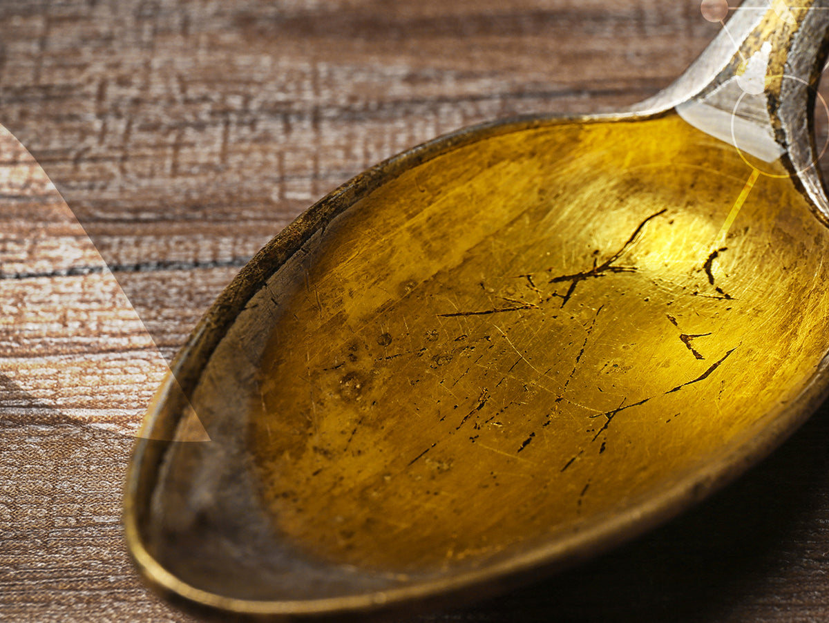 L'Huile de Foie de Morue