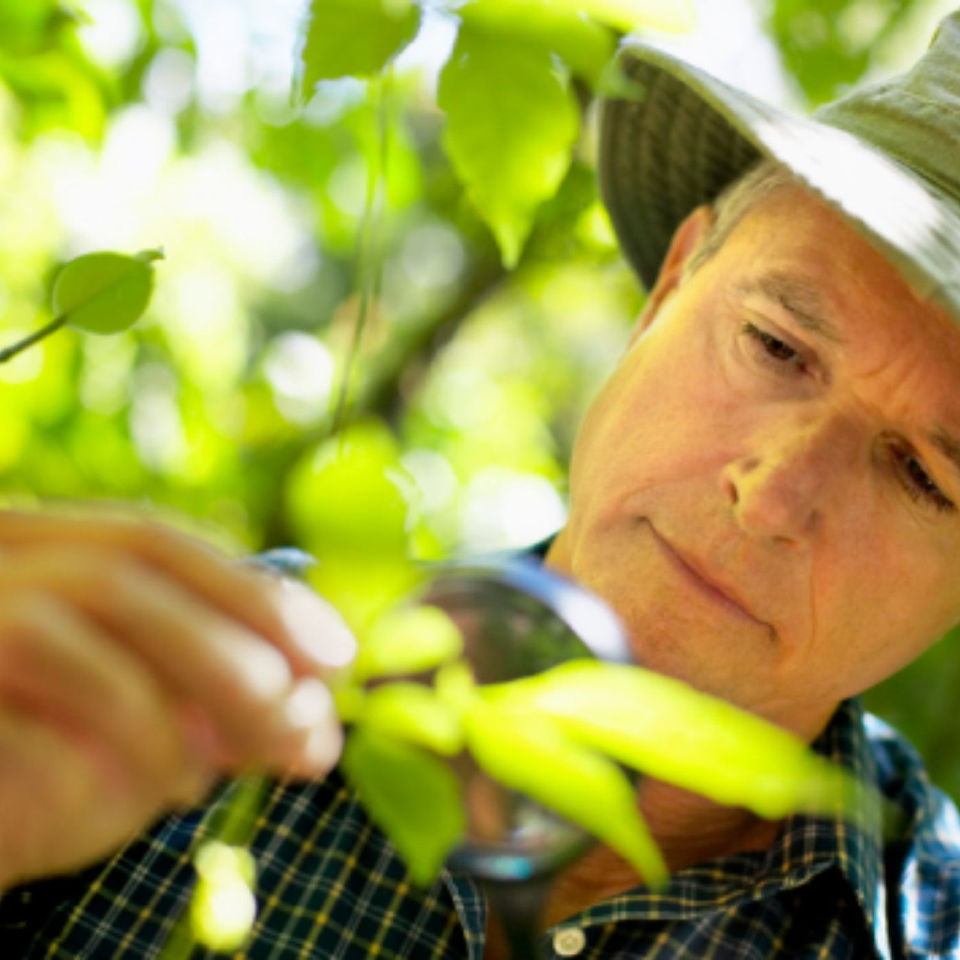 Des plantes de haute qualité, rigoureusement sélectionnées