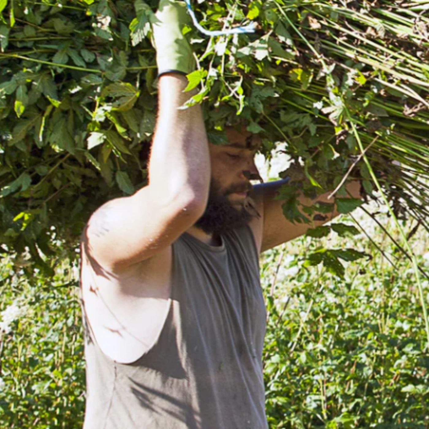 Accompagner et soutenir nos producteurs : un réseau de fournisseurs expérimentés