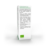 Huile essentielle de Cyprès BIO