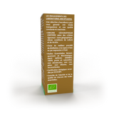 Huile essentielle d'Eucalyptus Radiata BIO