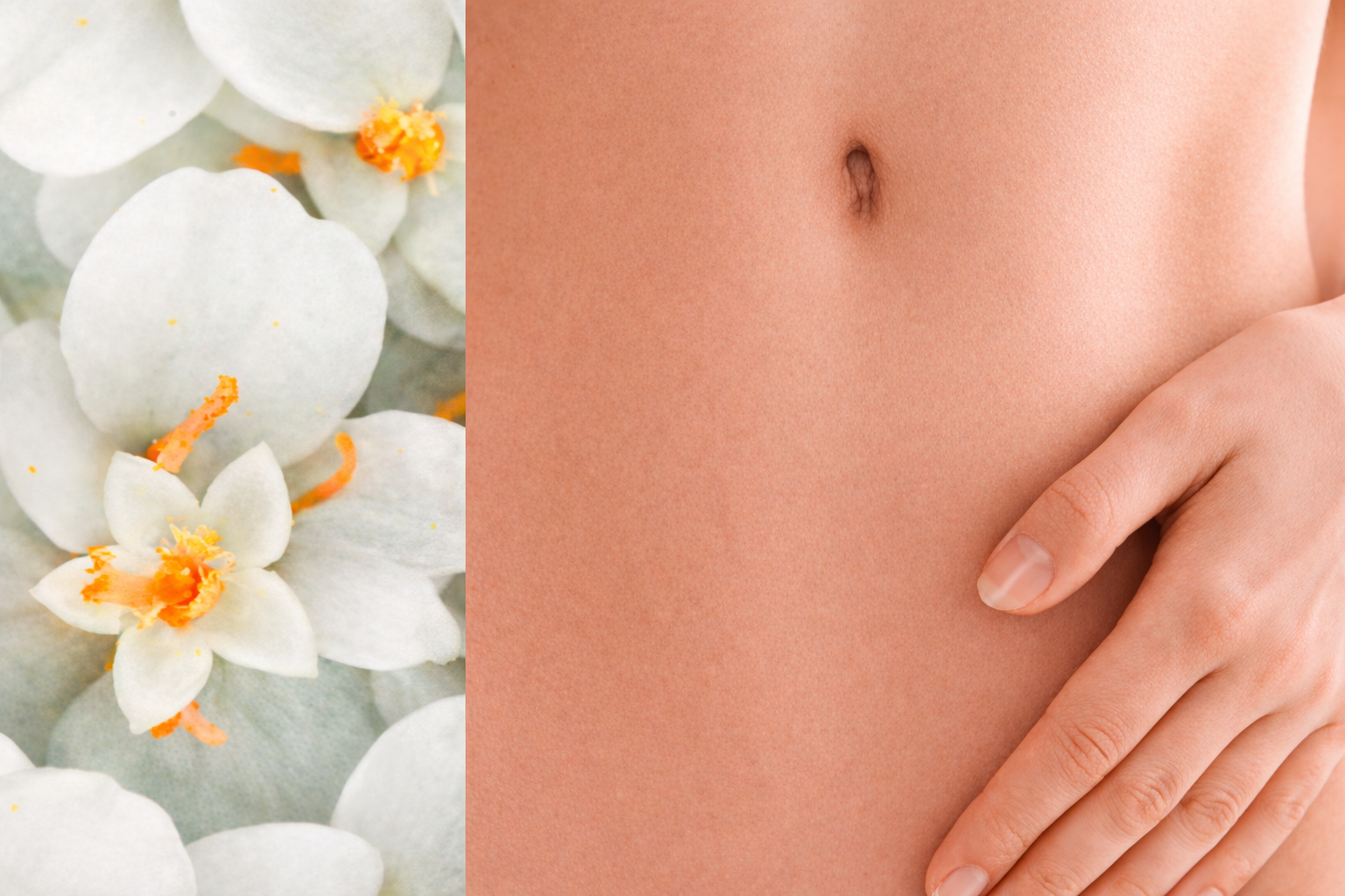 Les bienfaits de l’achillée millefeuille sur les règles et la fertilité chez la femme