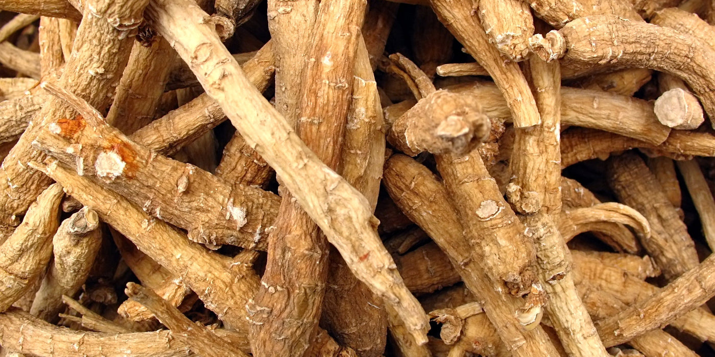 Le [Ginseng]