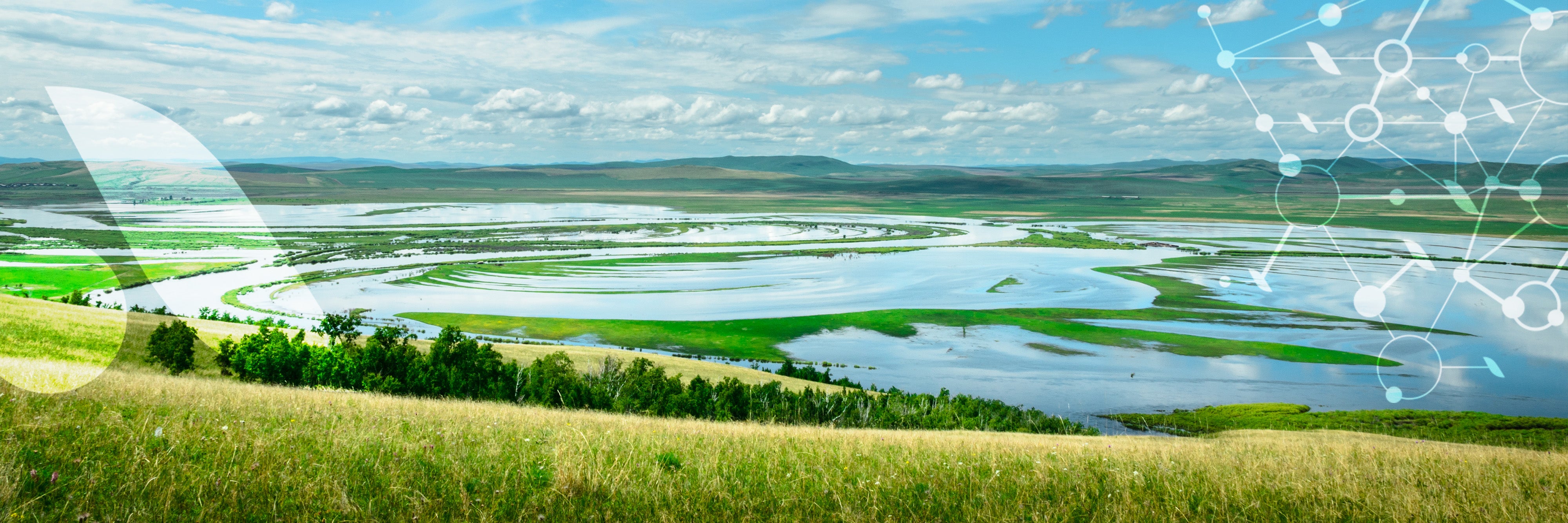 La spiruline, algue du [tonus]