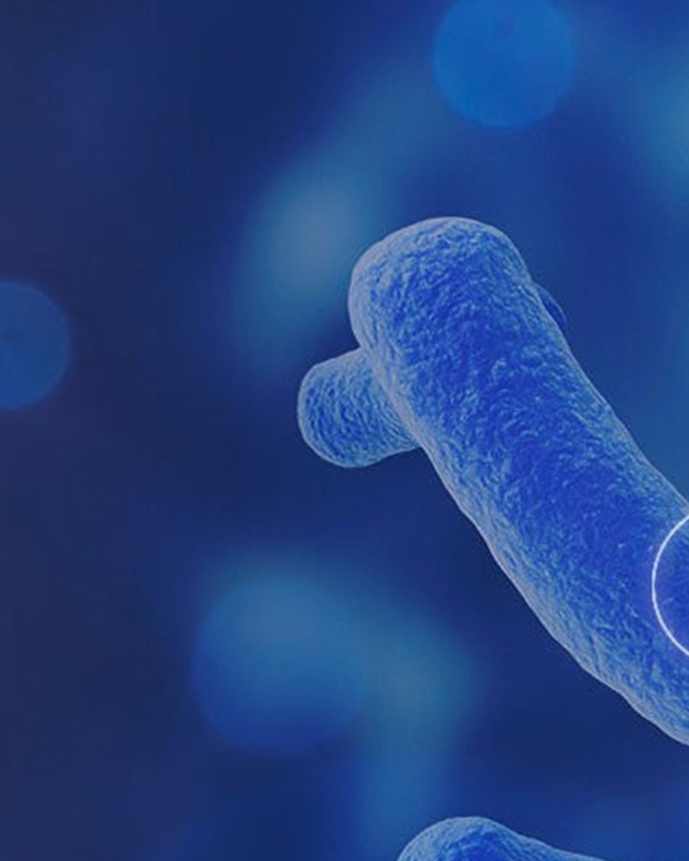 Comment bien choisir un [microbiotique]