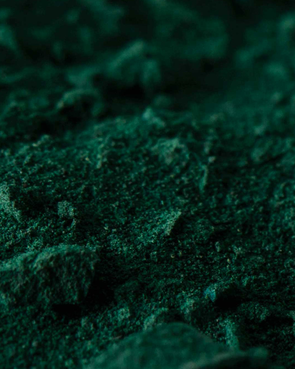 La [Spiruline]
