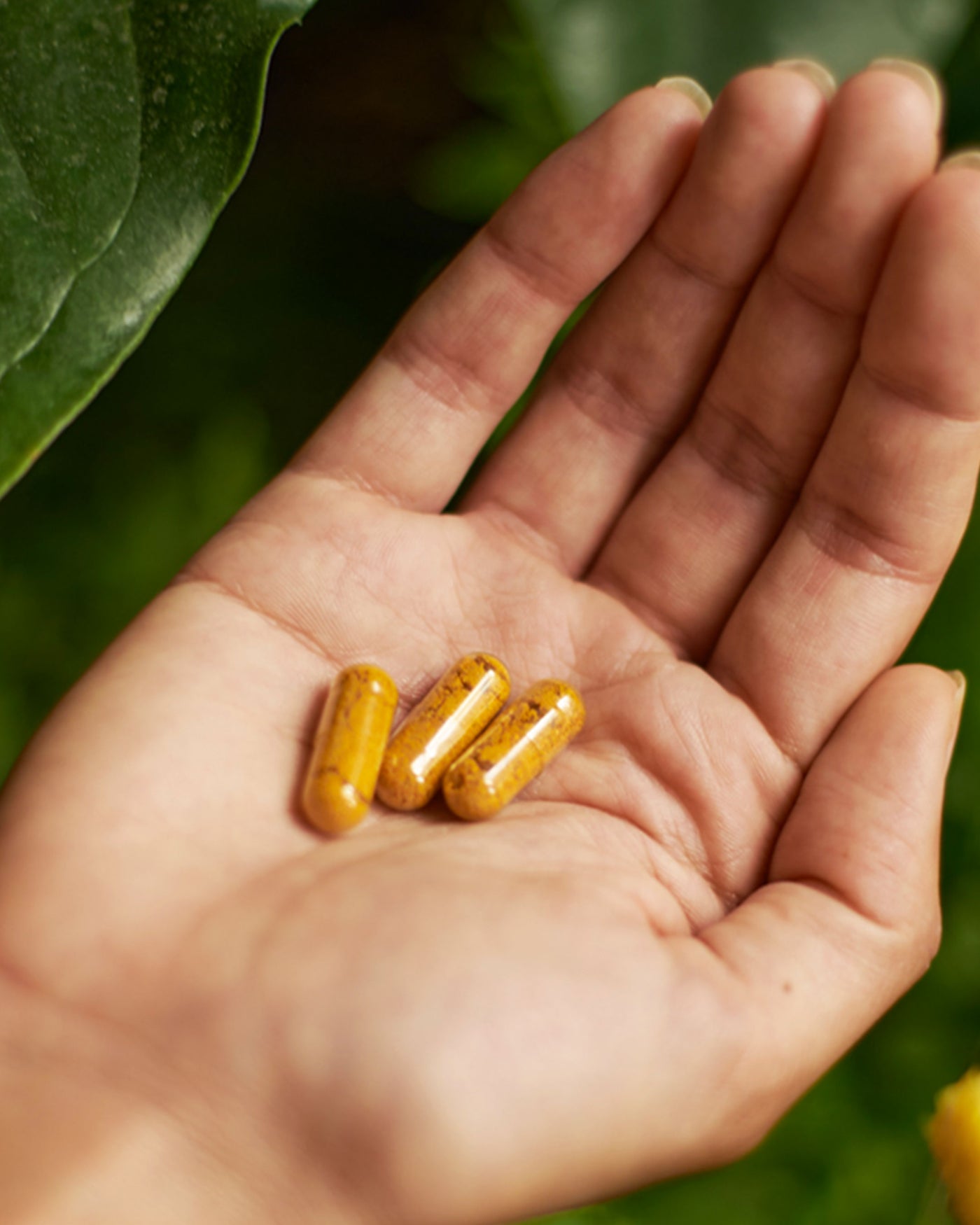 Arkogélules®, [des plantes BIO]