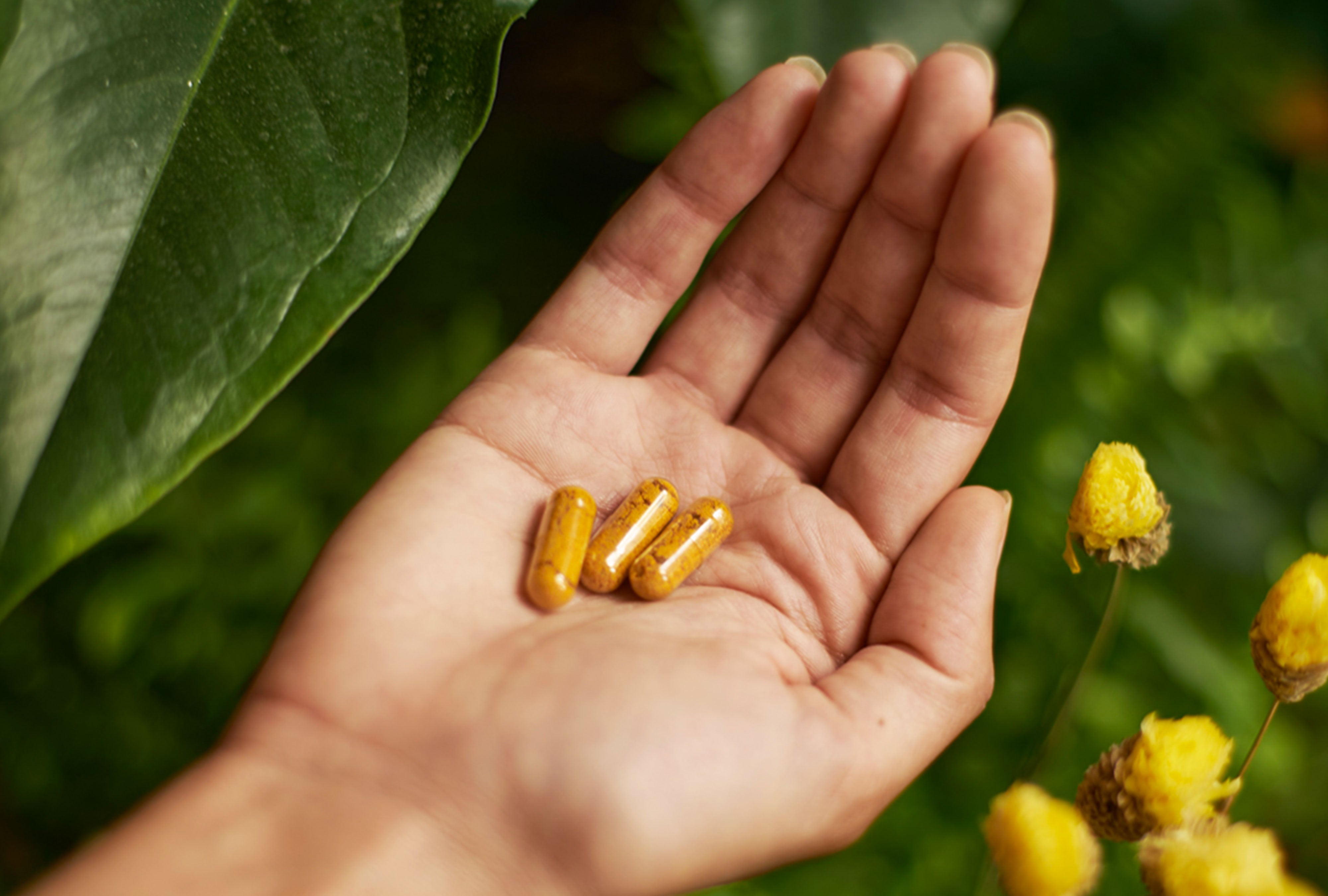 Arkogélules®, [des plantes BIO]