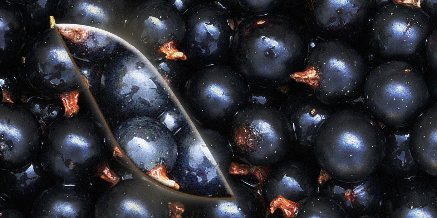 Le [Cassis]