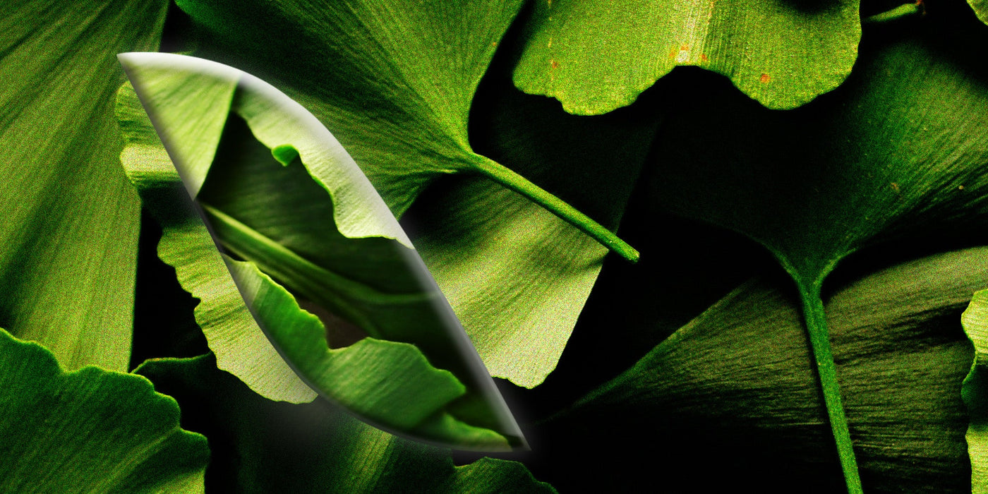 Le [Ginkgo]