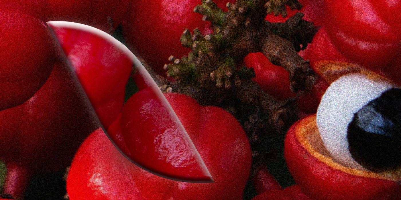 Le [Guarana]