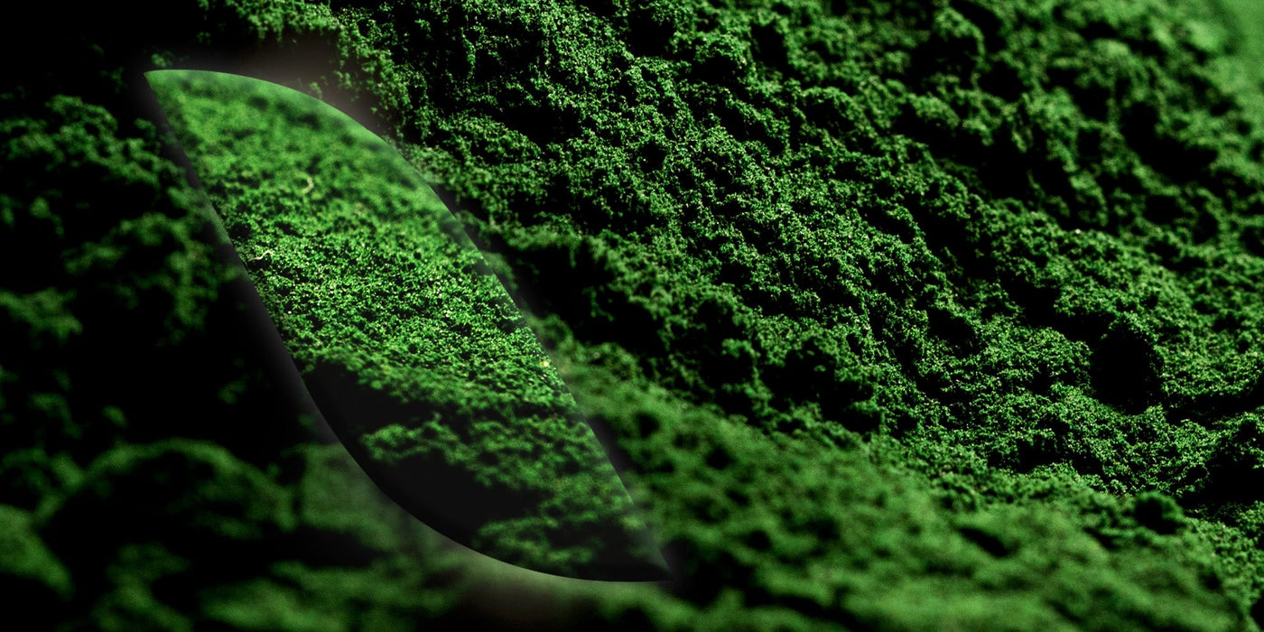 La [Spiruline]