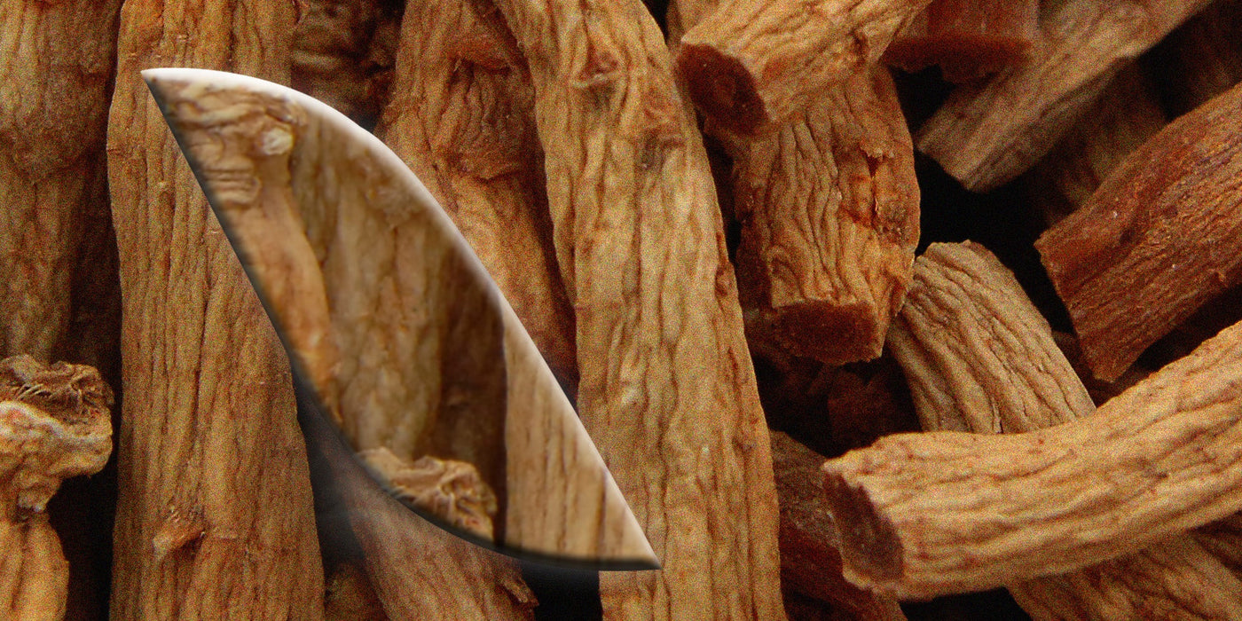 Le [Ginseng]