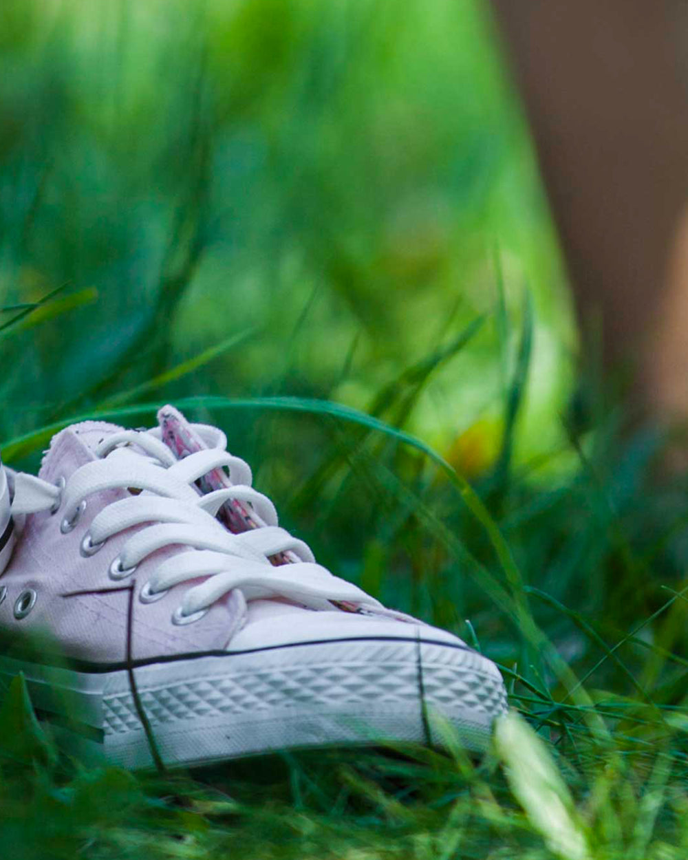 4 plantes pour diminuer les sensations de [jambes lourdes]