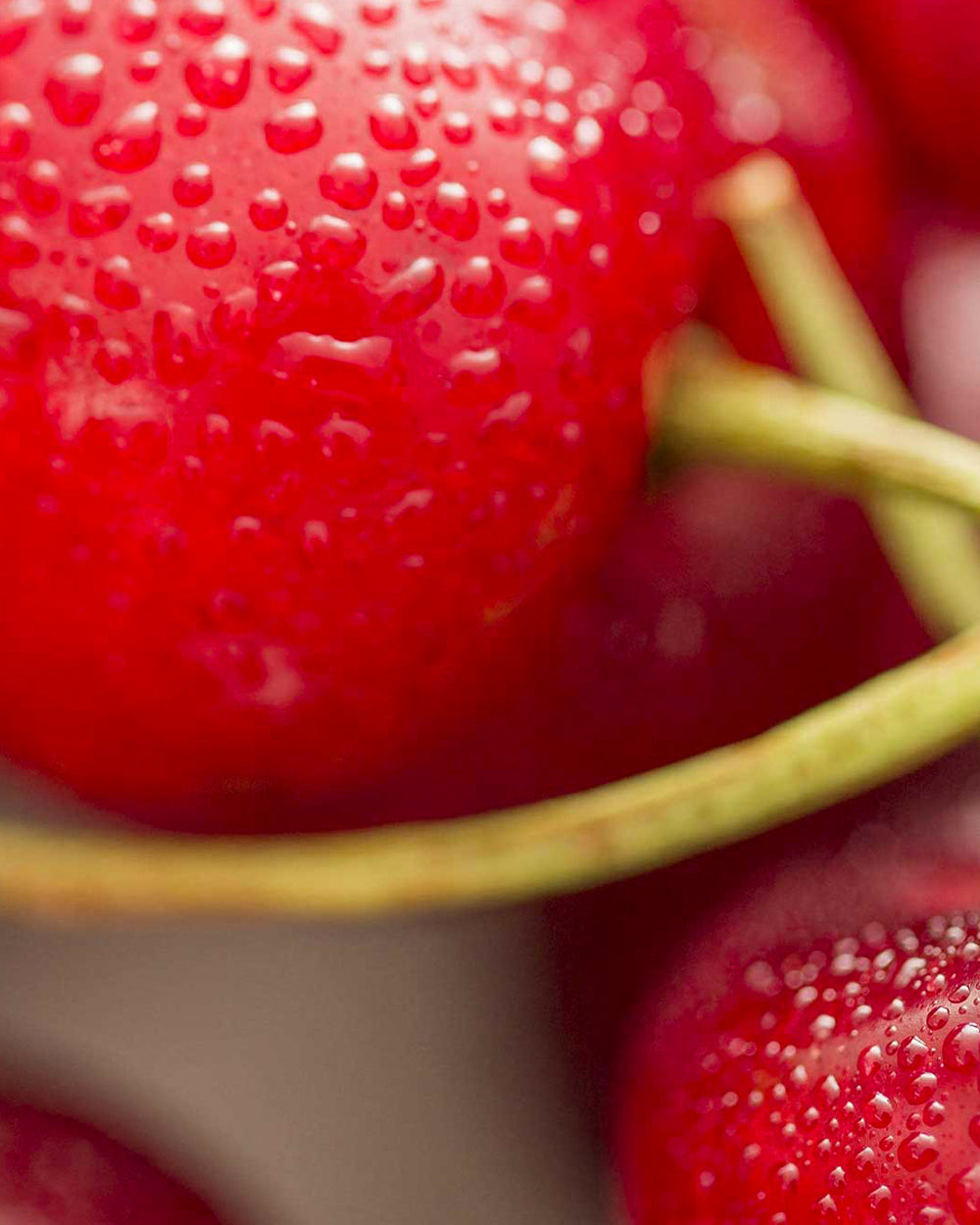 La [Queue de Cerise]