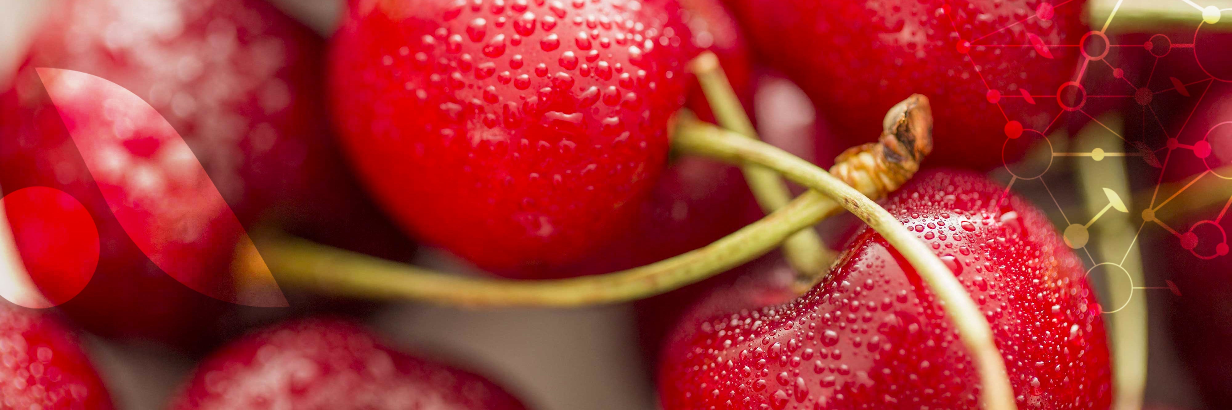 La [Queue de Cerise]