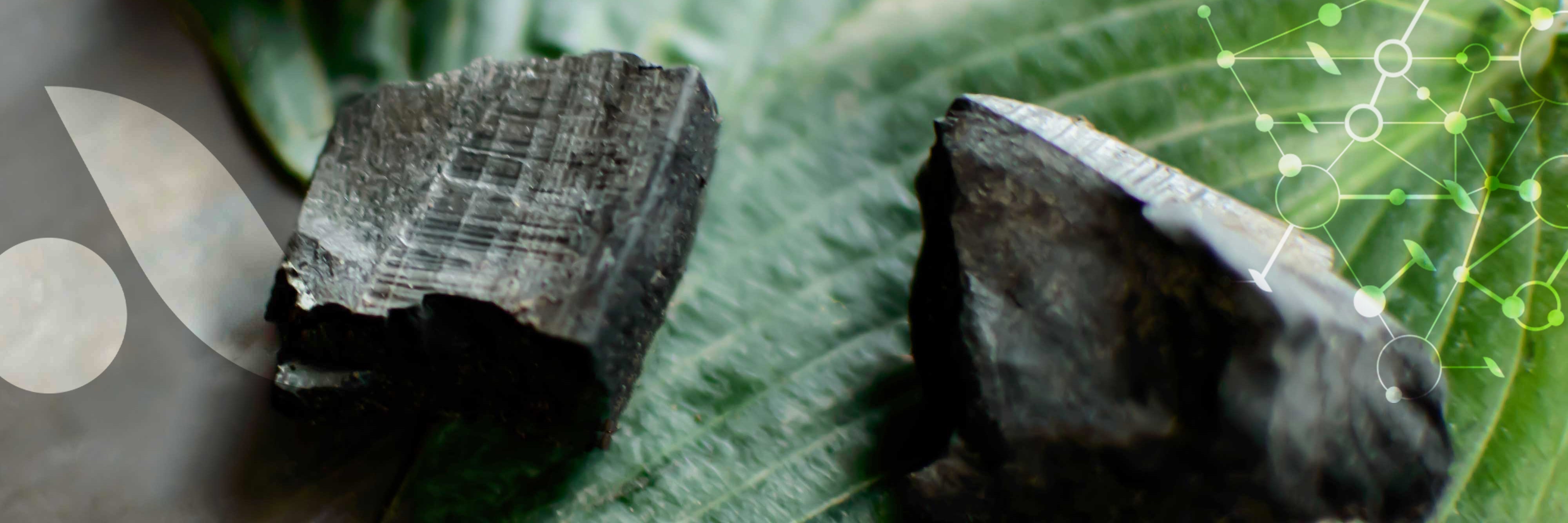 Le [Charbon végétal]