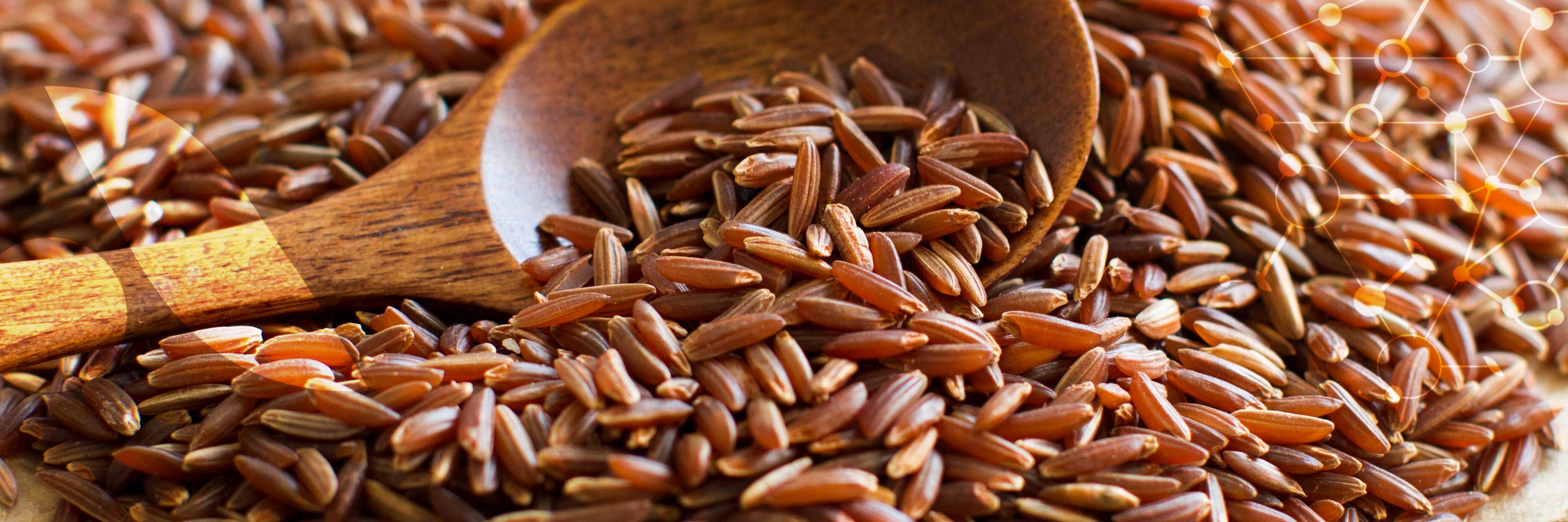 La [Levure de riz rouge]