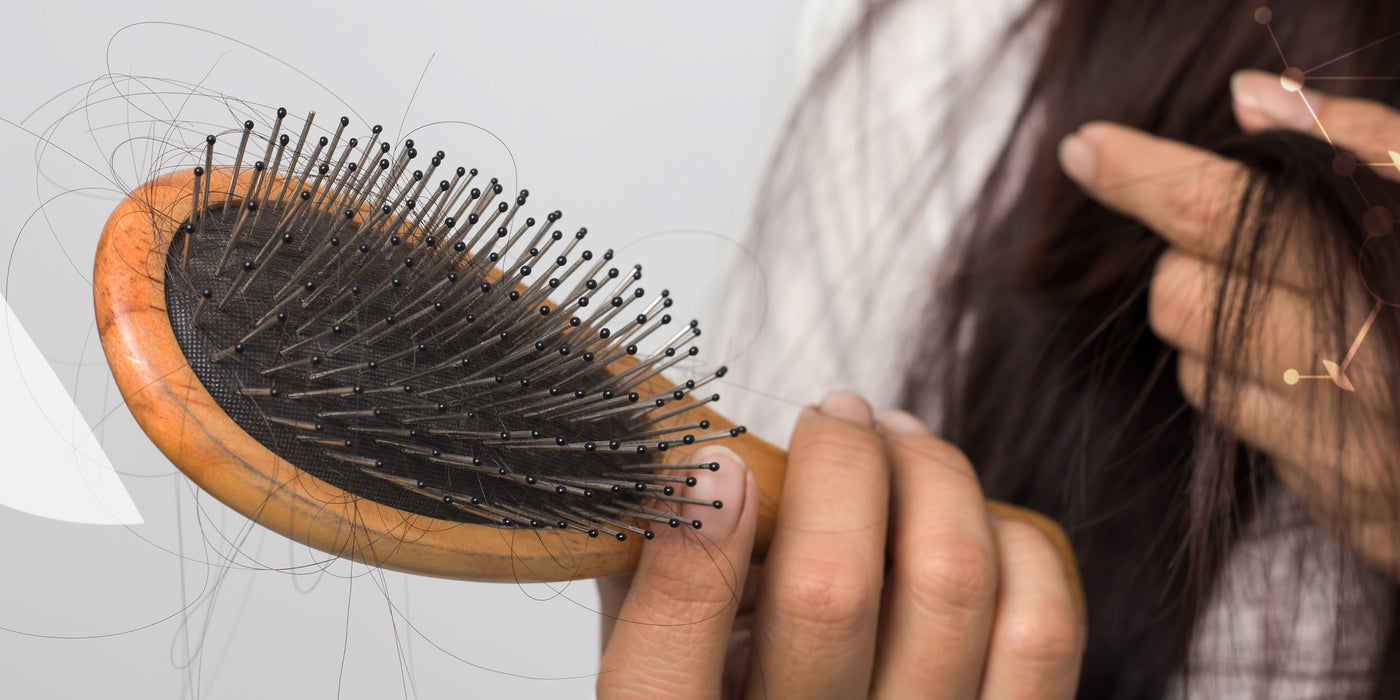 La chute de cheveux chez la femme