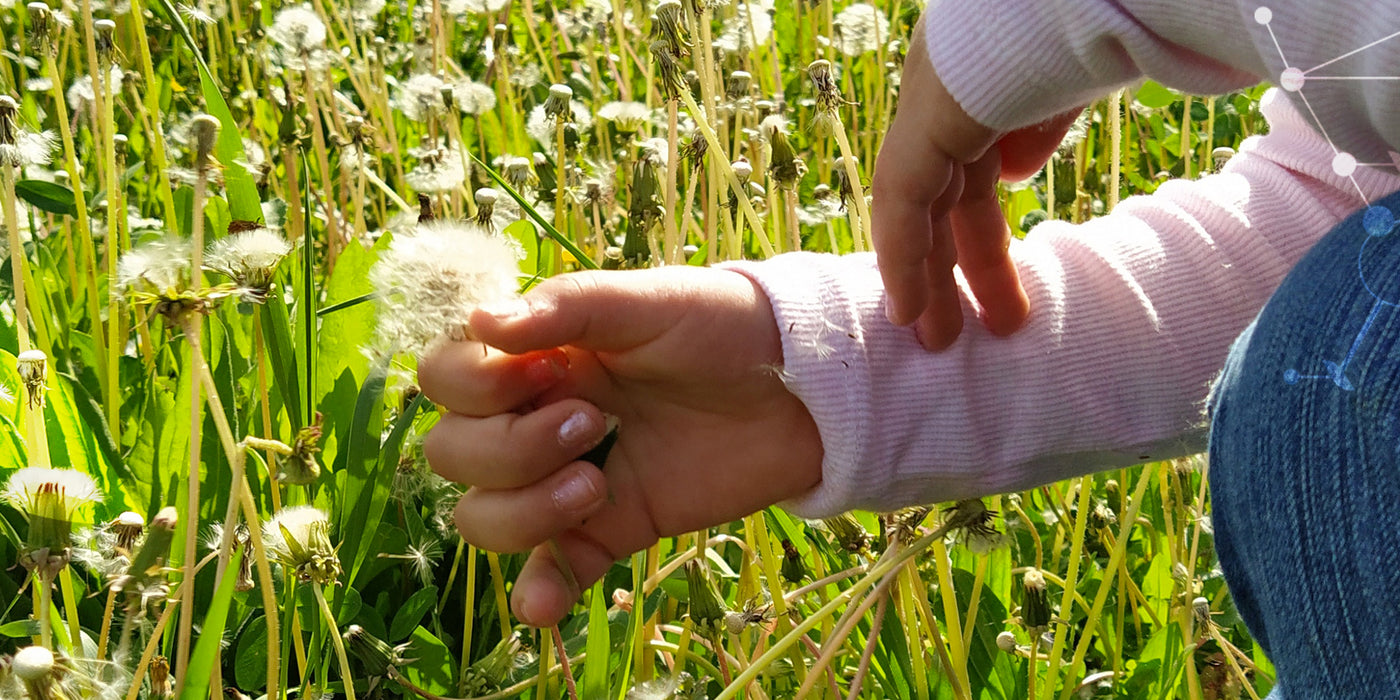 Quelles plantes pour [vos articulations] ?