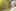 articles/hero_femme_nature2_desktop.jpg