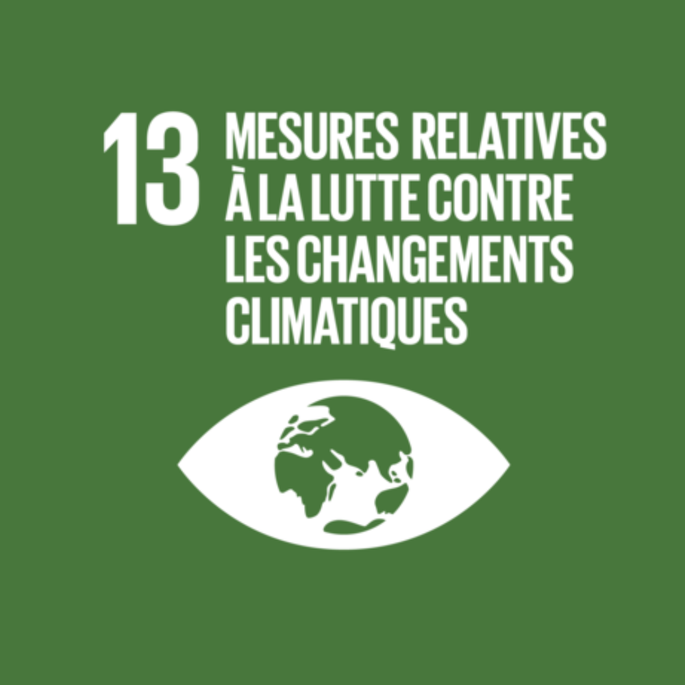 13 - Mesures relatives à la lutte contre les changements climatiques