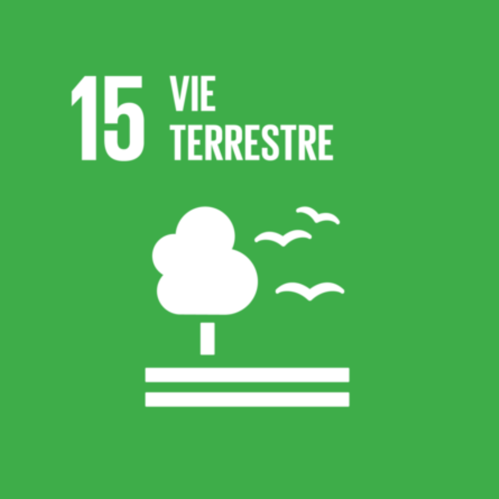 15 - Vie terrestre