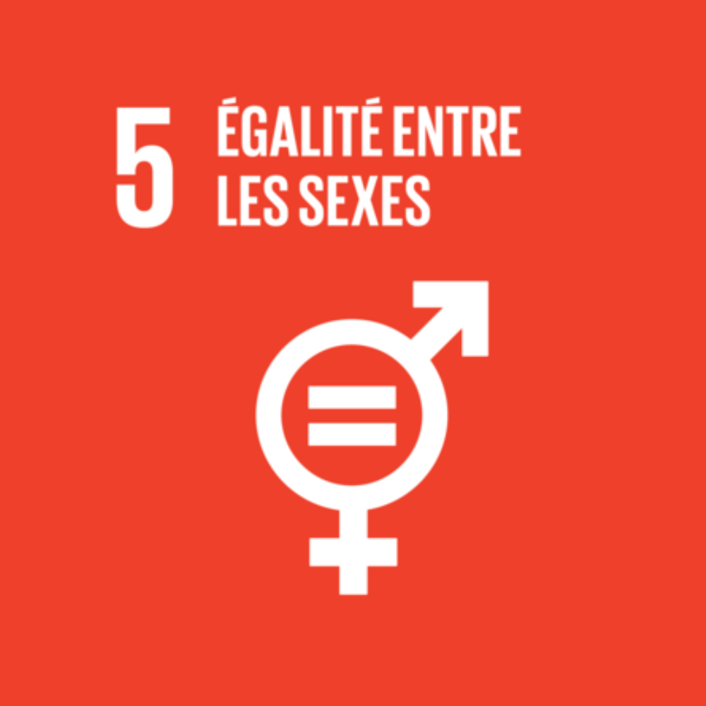 5 - Égalité <br>entre les sexes