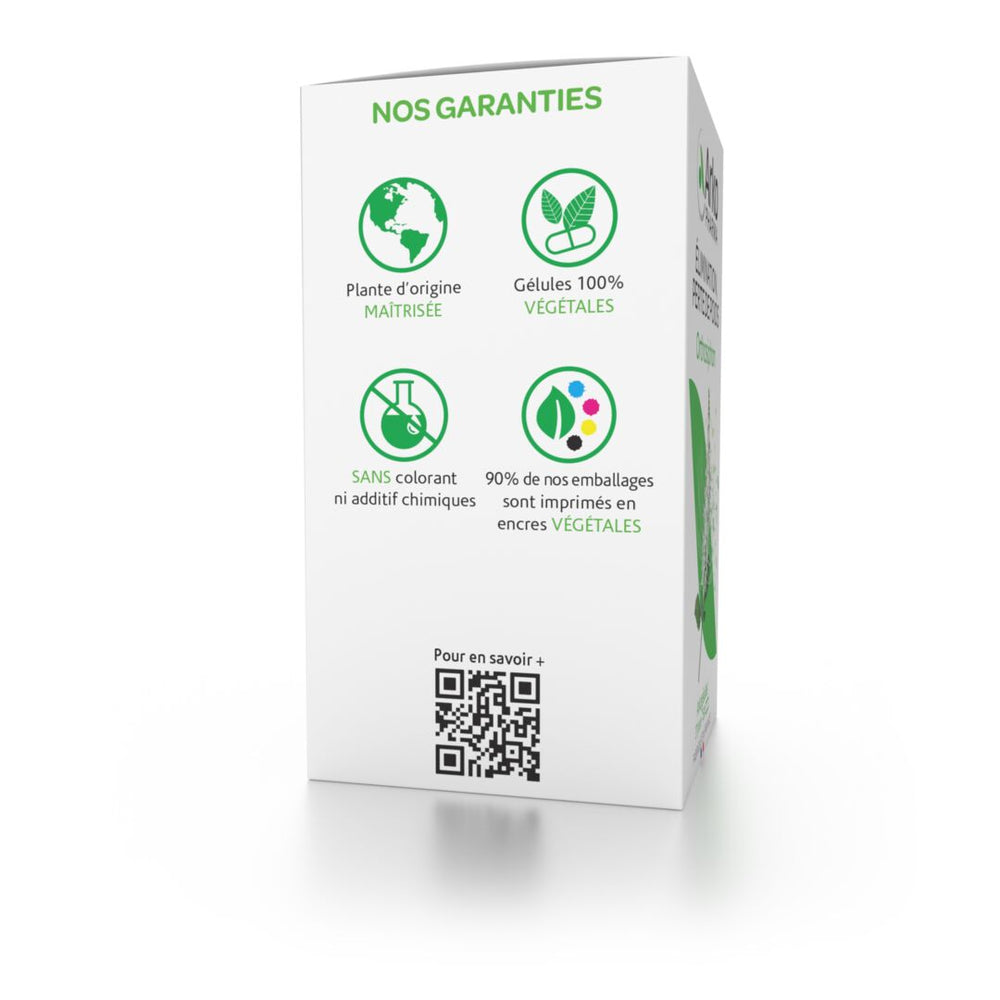 Arkogélules® Orthosiphon