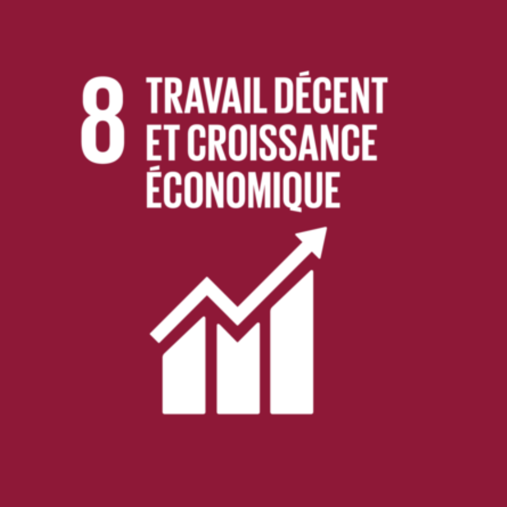 8 - Travail décent et croissance économique