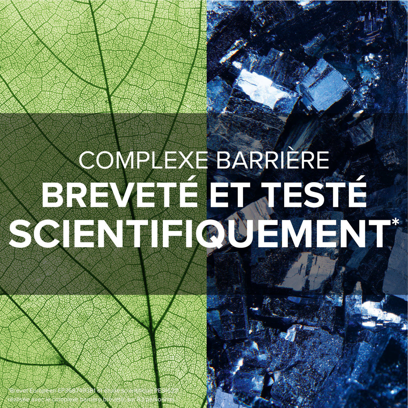 Arkogélules® Orme rouge et Zinc