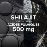 Arkogélules® Shilajit