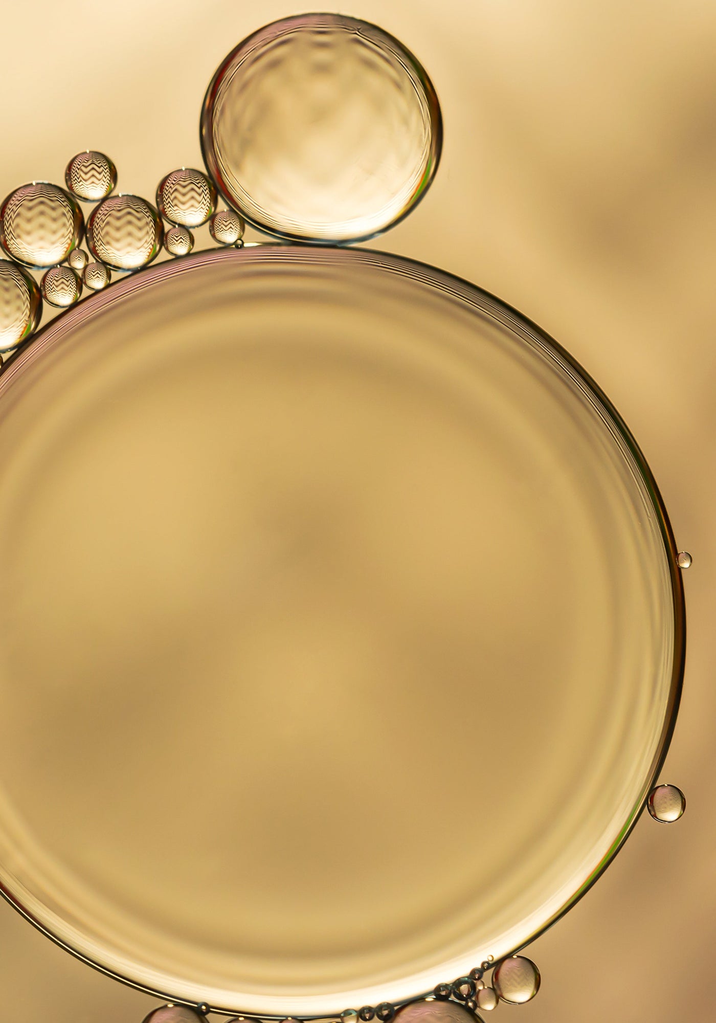 Vitamine B3 