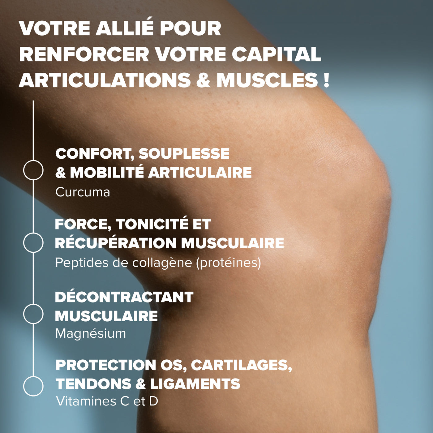 Collagène articulations & muscles