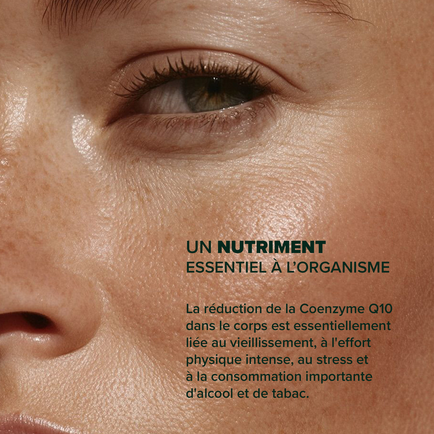 Arkogélules® Coenzyme Q10
