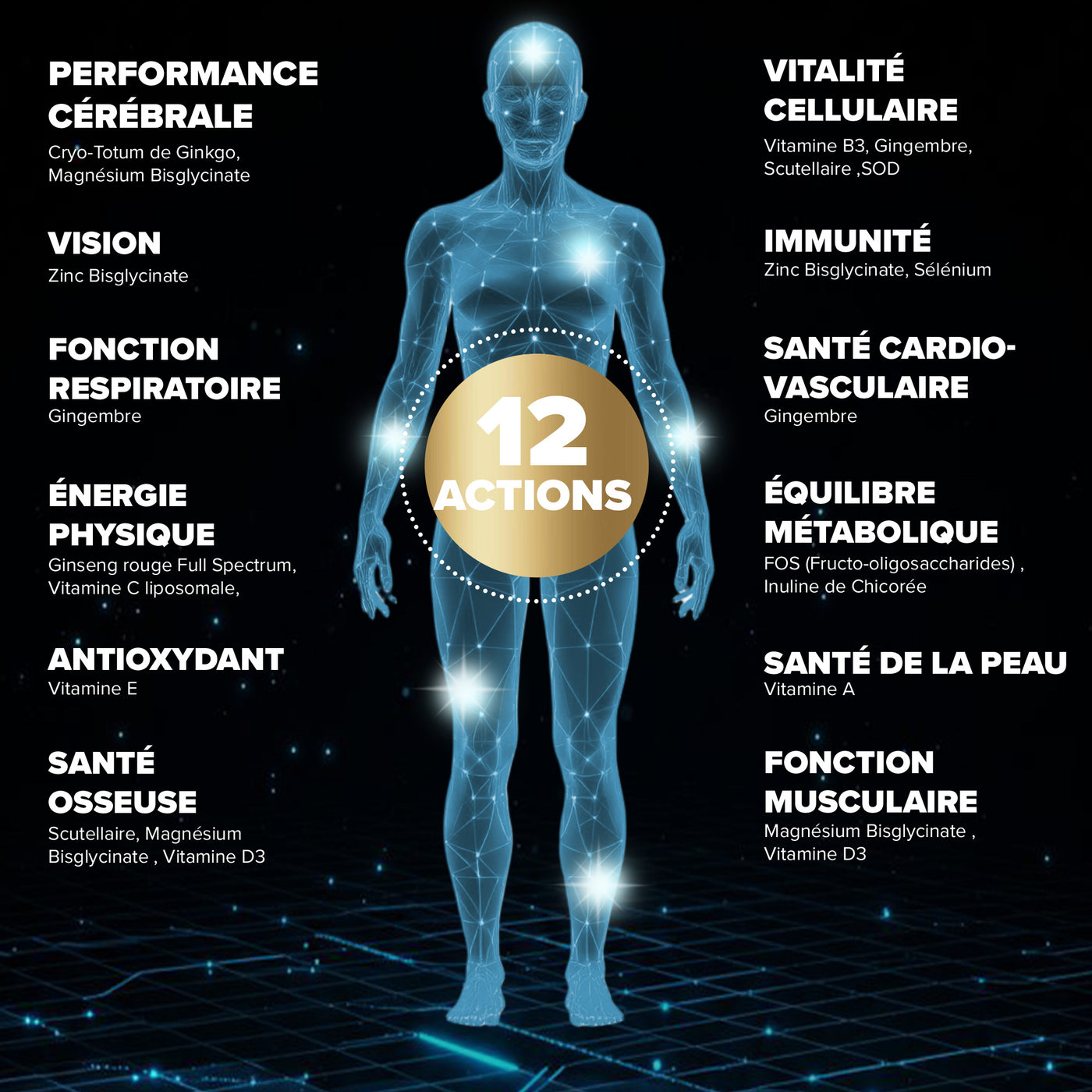 Santé Longévité Prévention globale 12