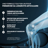 Santé Longévité Capital Articulaire